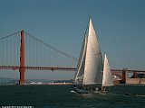 DSC01766a.jpg