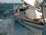 DSC02364a.jpg
