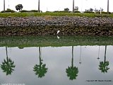 DSCN0823a.jpg
