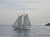 DSCN1989a.jpg