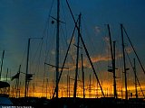 DSCN0534a.jpg