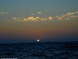 DSCN1608a.jpg